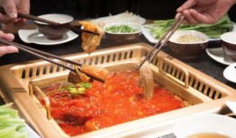 中国美食爆料视频下载大全,视频下载大全，尽享地道风味