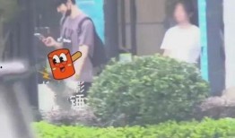 狗仔爆料张云龙视频,张云龙私密视频曝光，真相揭秘